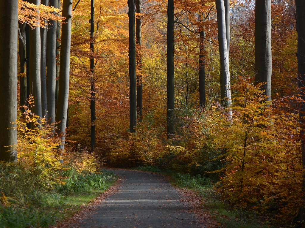 November