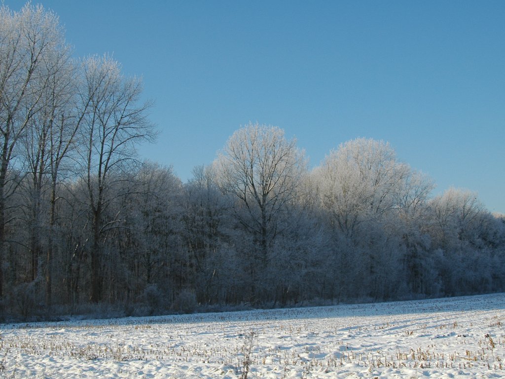 Natuurgebieden omgeving leuven