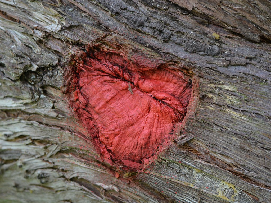 Torfbroek en Ter Bronnen - aug 2016