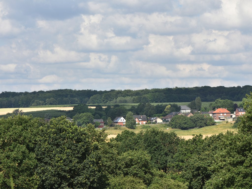 Bertem - Koeheide