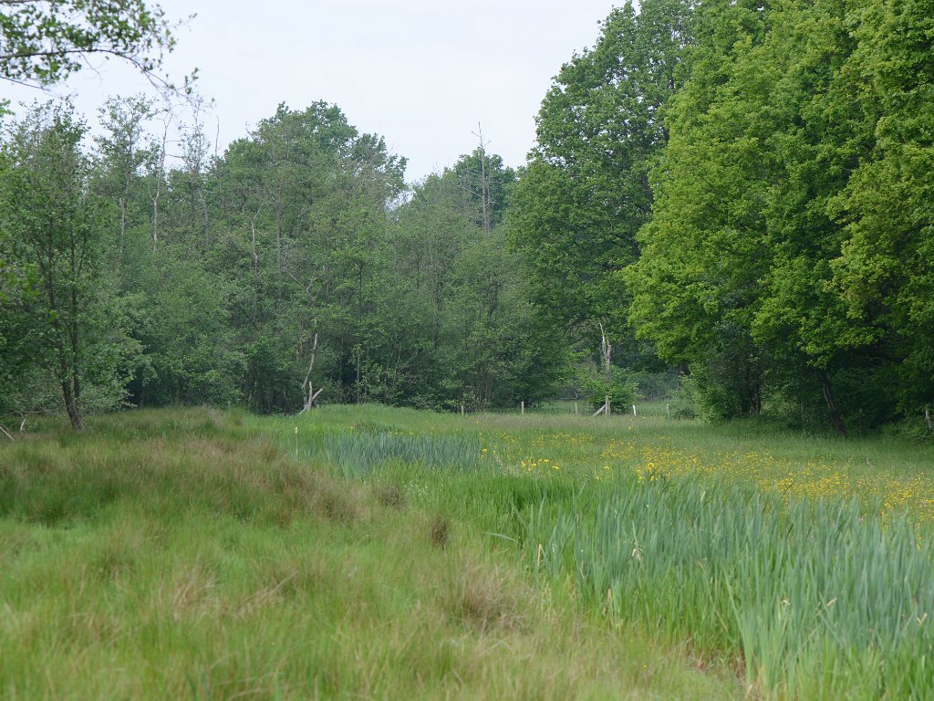 Betekom - Vorsdonk