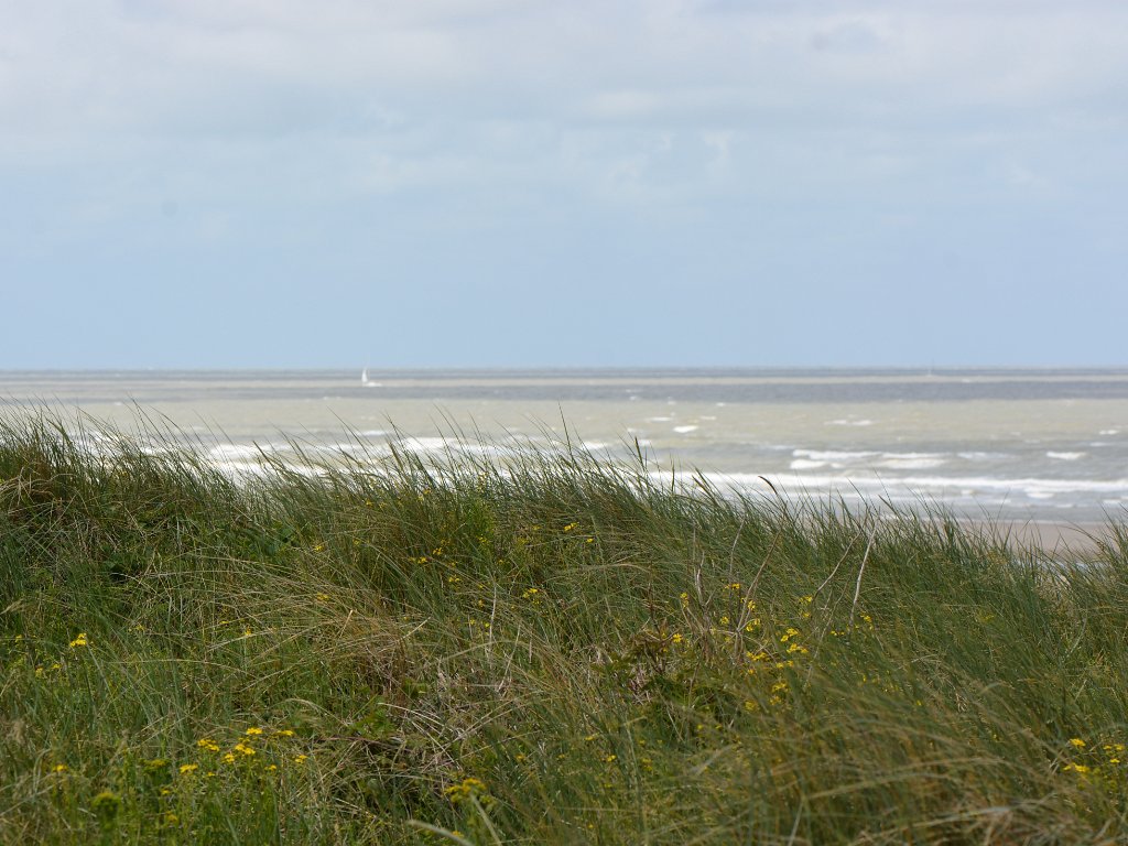 Blankenberge