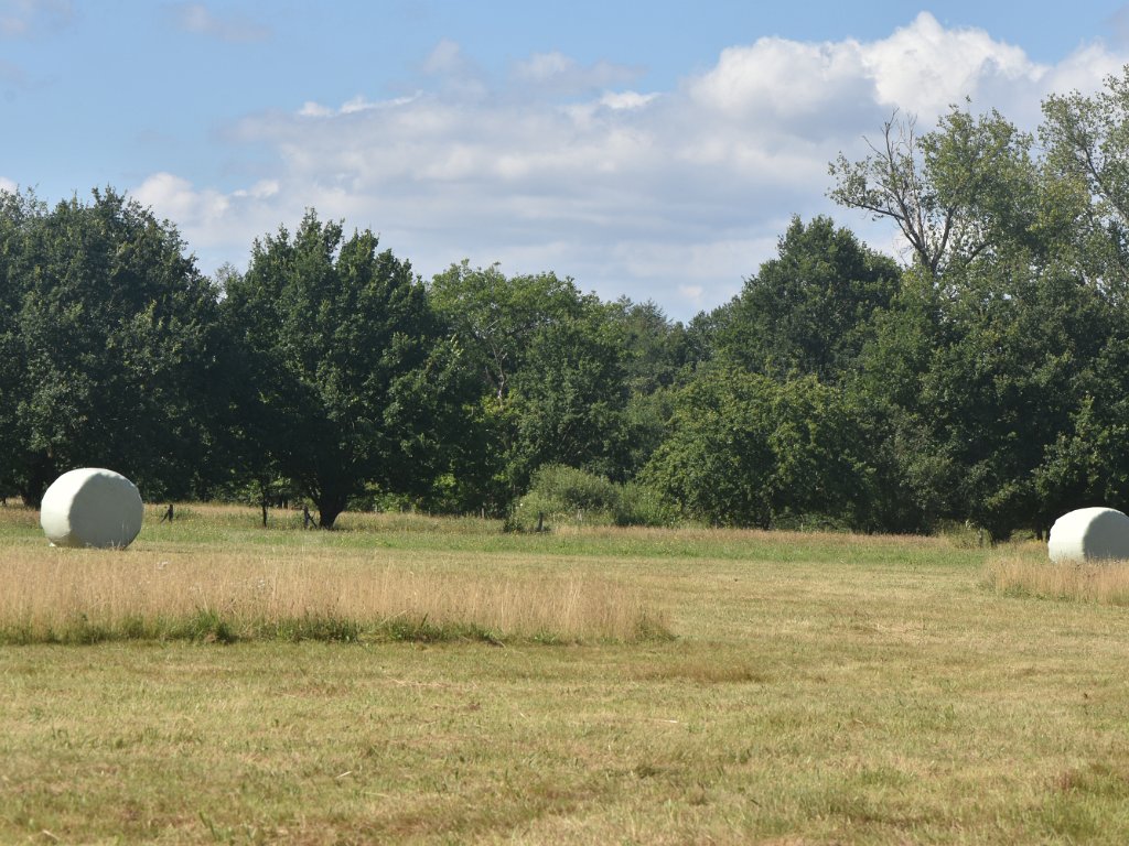 Bonheiden - Mispeldonk