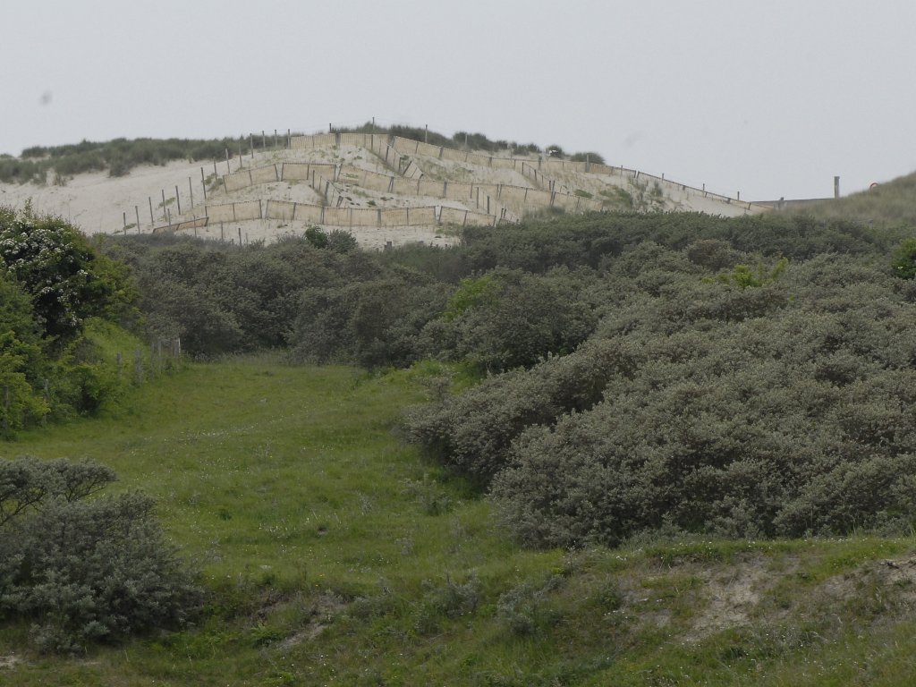 Bredene