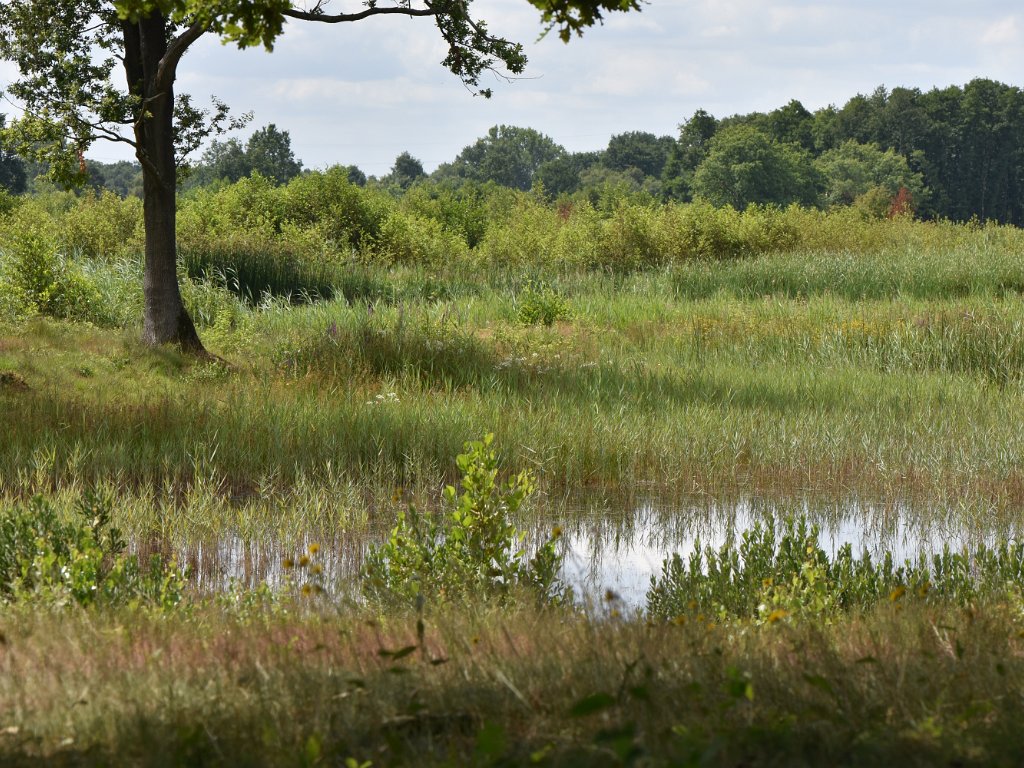 Genk - De Maten