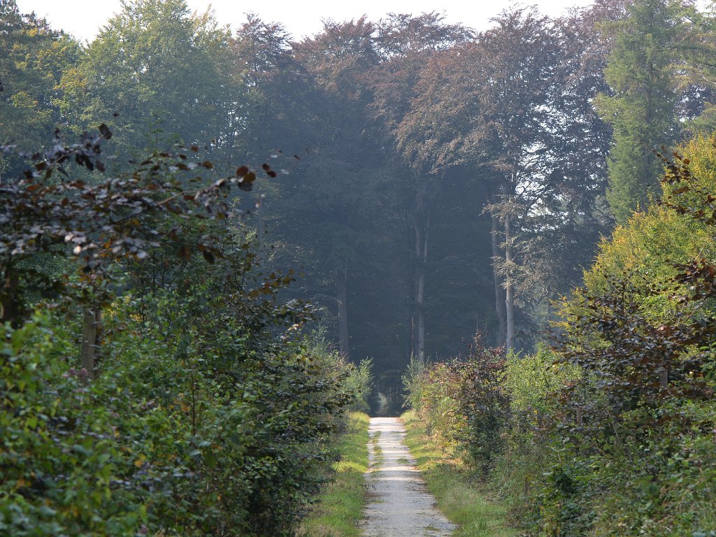 Heverlee - Arboretum