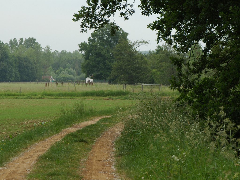 Holsbeek - Hagelandse vallei