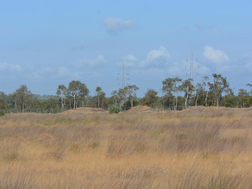 Lommel - Balimheide