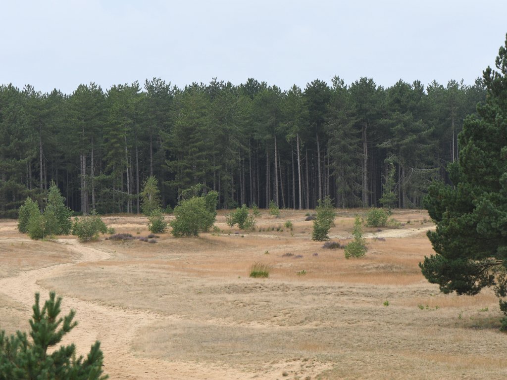 Lommel - Lommelse Sahara