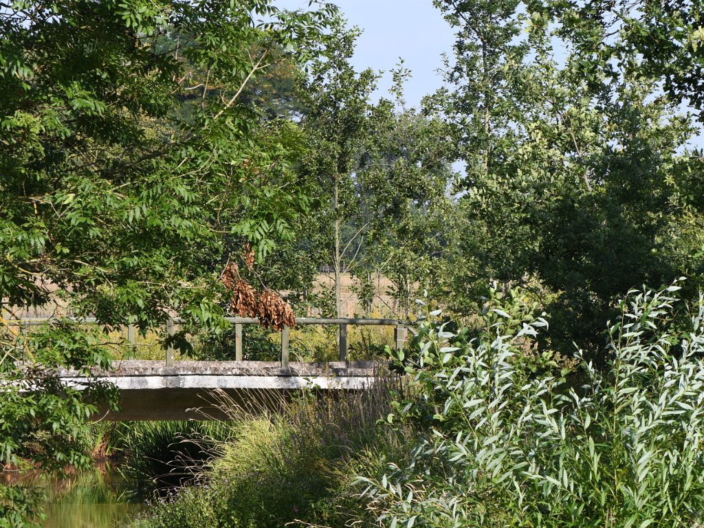 Meerhout - Grote Netewoud