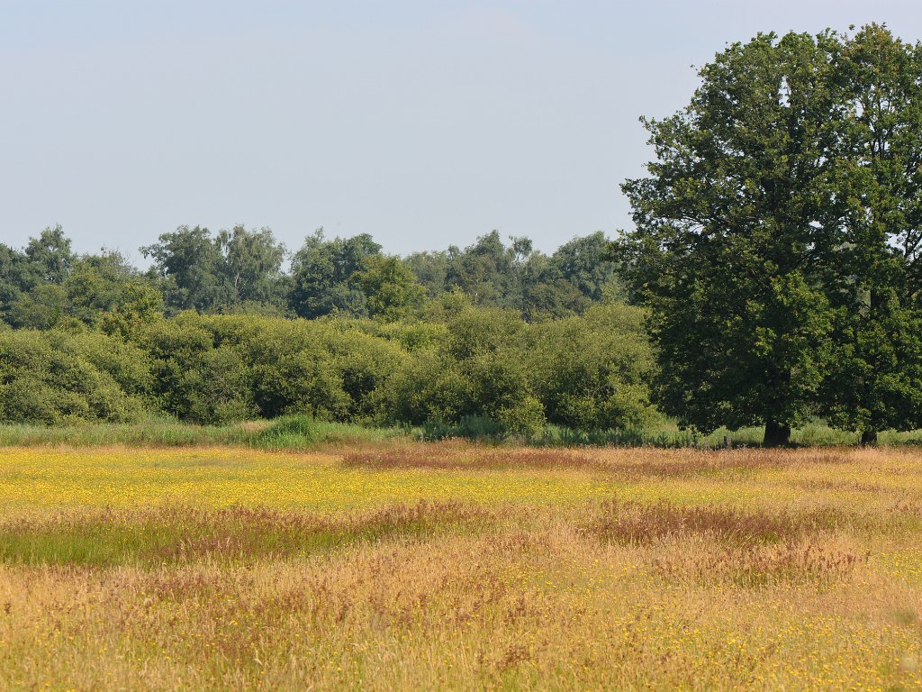 Oud-Turnhout - De Liereman