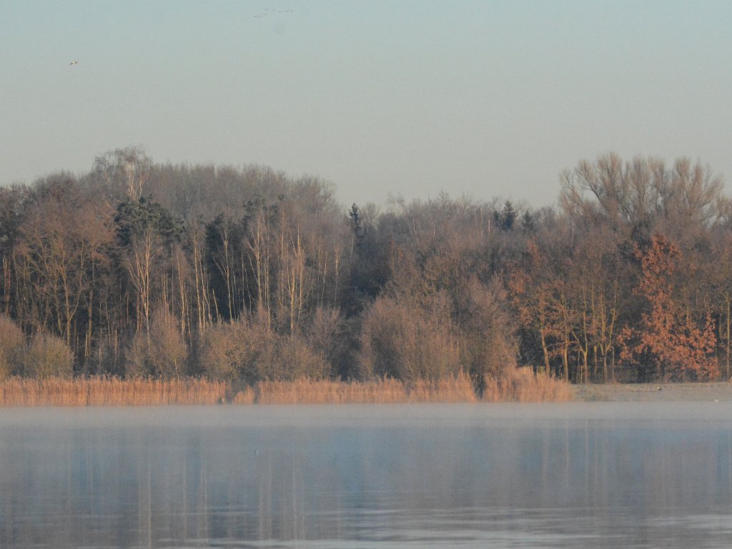 Rotselaar - Domein Ter heide