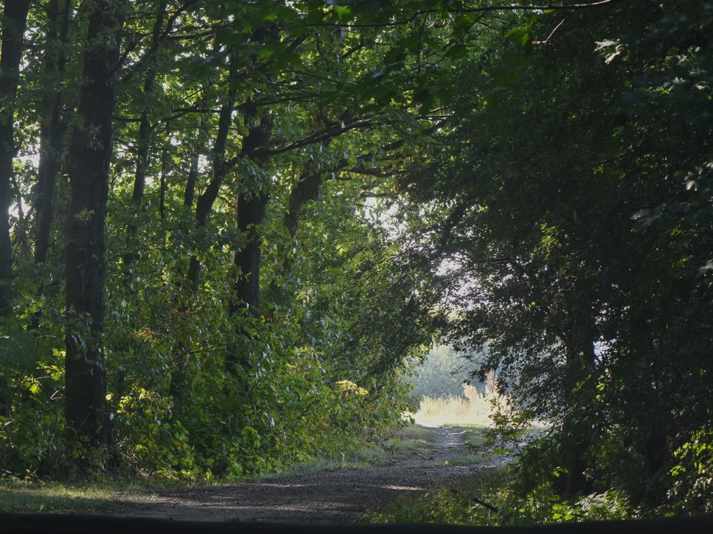 Schiplaken - Steentjesbos