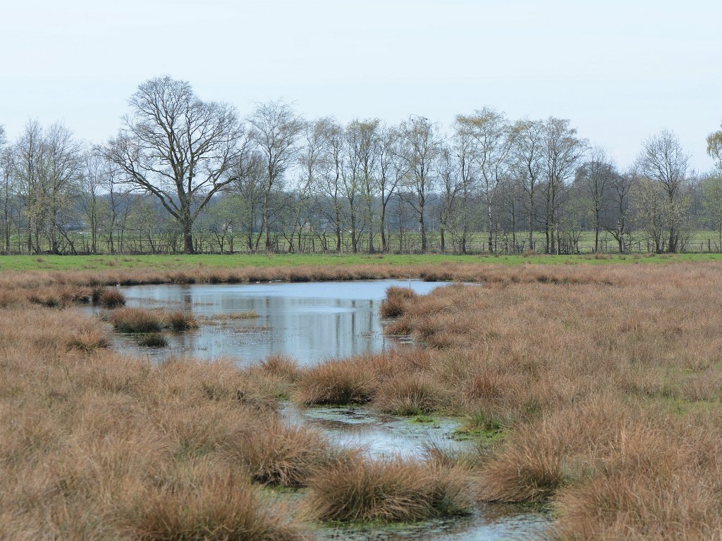 Turnhout - Vennengebied