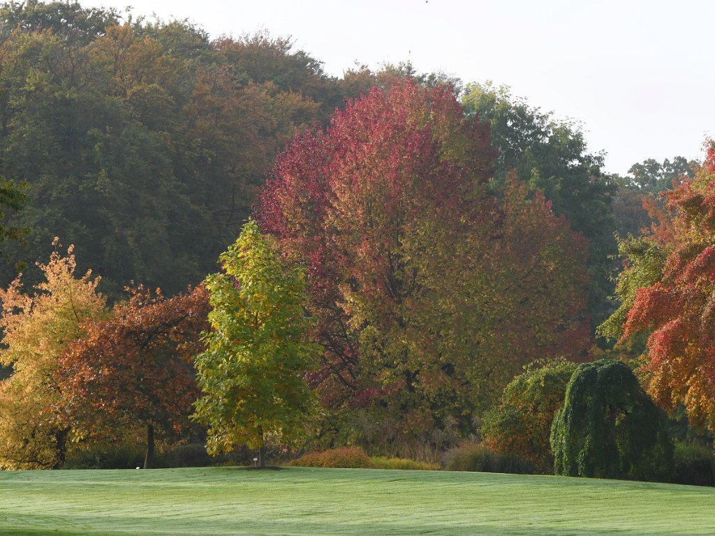 Wespelaar - Arboretum