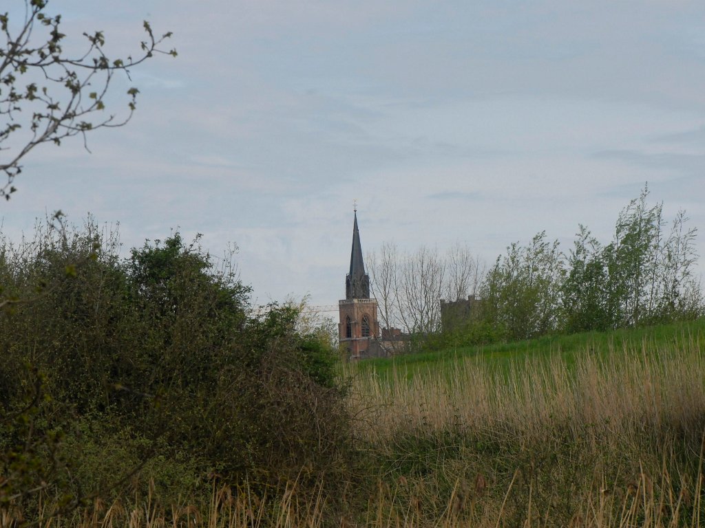 Willebroek - Broek de Nayer en Biesenweiden